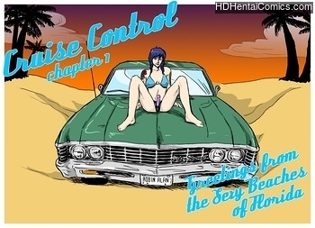 Porn Comics - Cruise Control 1 – Greetings From The Sexy Beaches Of Florida Sex Comics