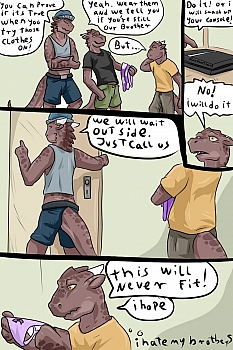 Gay Brother Furry Sex Comics